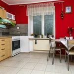 Rent 1 bedroom apartment of 40 m² in Pardubice