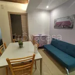 Rent 1 bedroom apartment of 37 m² in San Marcello