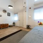 Rent 1 bedroom apartment of 30 m² in Málaga