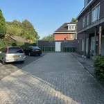 Rent 2 bedroom apartment of 33 m² in Lawijckerhof