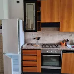 Rent 4 bedroom apartment of 120 m² in Cologno Monzese