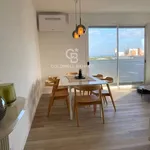 Apartment viale Ceccarini 60, Centro, Riccione