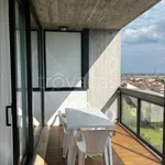 Rent 2 bedroom apartment of 65 m² in Verona