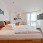 Rent 3 bedroom apartment in Praha 5