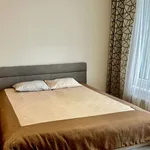 Rent 1 bedroom apartment in Capital City of Prague