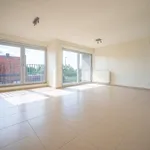 Rent 1 bedroom apartment in Kruishoutem