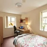 Rent 1 bedroom student apartment in Amber Valley