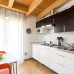 Rent 1 bedroom apartment of 52 m² in milan