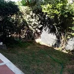 Rent 3 bedroom apartment of 80 m² in San Felice Circeo