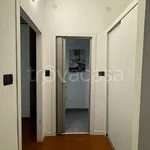 Rent 2 bedroom apartment of 58 m² in Milano