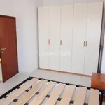 Rent 2 bedroom apartment of 50 m² in Collesalvetti