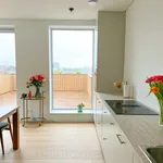 Rent 2 bedroom apartment of 1249 m² in Amsterdam