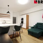 Rent 3 bedroom apartment of 76 m² in Brno