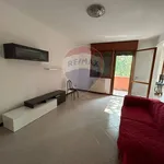 Rent 5 bedroom apartment of 90 m² in Ferrara