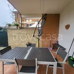 Rent 3 bedroom apartment of 75 m² in Fiumicino