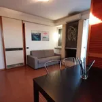 Rent 1 bedroom apartment of 60 m² in turin