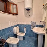 Rent 5 bedroom house of 160 m² in Belvedere Marittimo