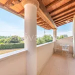 Rent 6 bedroom house of 230 m² in Seravezza