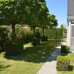 Rent 3 bedroom house of 422 m² in Ingelmunster