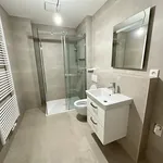 Rent 1 bedroom apartment in Prague