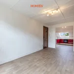 Rent 1 bedroom apartment in Leuven