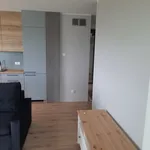 Rent 3 bedroom apartment of 60 m² in Szczecin