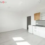 Rent 1 bedroom apartment of 35 m² in Plzeň