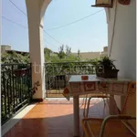 Rent 3 bedroom apartment of 100 m² in Castelvetrano