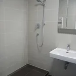 Rent 1 bedroom apartment of 30 m² in Brno