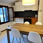 Rent 1 bedroom apartment of 70 m² in treviso