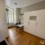 Rent 1 bedroom apartment in Brno