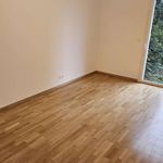 Rent 4 bedroom apartment of 90 m² in Colmar