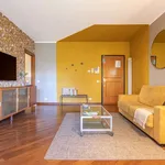 Rent 1 bedroom apartment in rome