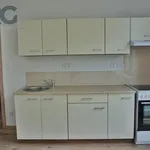 Rent 1 bedroom apartment of 30 m² in Milevsko