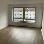 Miete 2 Schlafzimmer haus von 51 m² in Remscheid