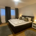 Rent 2 bedroom apartment of 969 m² in Stuttgart