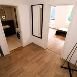 Rent 1 bedroom apartment of 60 m² in Brno