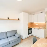 Pronajměte si 2 ložnic/e byt o rozloze 26 m² v Prague