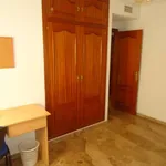 Rent a room in cordoba