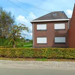 Rent 4 bedroom house in Oudenaarde