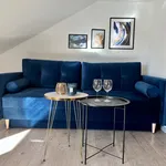 Rent 1 bedroom apartment of 45 m² in Essen