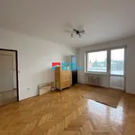 Pronájem bytu 1+1 43m²