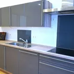 Rent 4 bedroom apartment of 127 m² in Wien