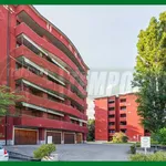 Rent 1 bedroom apartment of 35 m² in Gallarate