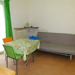 Rent 1 bedroom apartment of 28 m² in Urbino