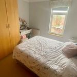 Rent 3 bedroom house in South West England