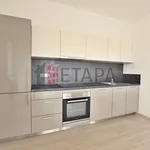 Rent 2 bedroom apartment of 90 m² in České Budějovice