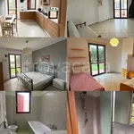 Rent 3 bedroom apartment of 70 m² in Sabaudia