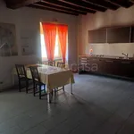 Rent 2 bedroom apartment of 100 m² in Torino