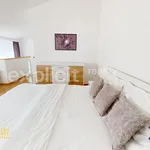 Rent 2 bedroom apartment of 100 m² in Luhačovice